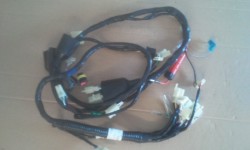 WIRE HARNESS ASSY  with w